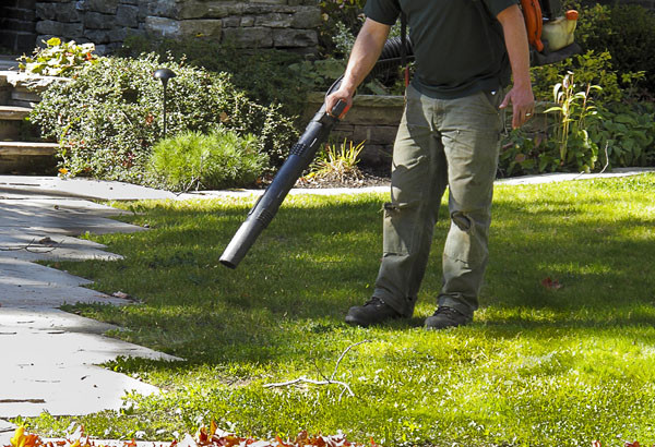 Spring Lawn Care Services