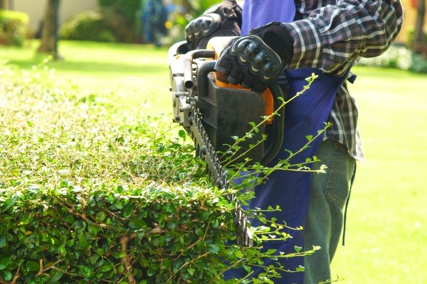 Seasonal Lawn Care Services Waterford, WI