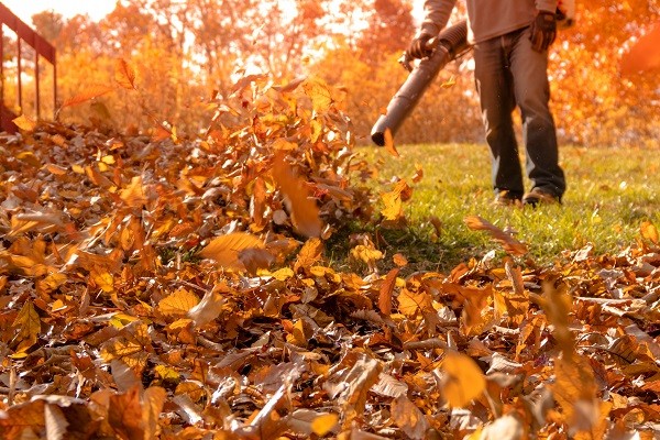 Racine Fall Leaf Cleanup Service