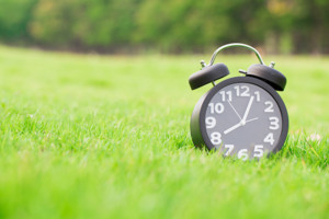 Alarm Clock on Kenosha Yard - Lawn Pros of Racine & Kenosha