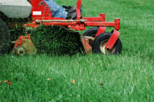 Riding Lawnmower Mowing Racine Grass - Lawn Pros